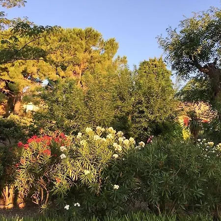 Le Figuier With Swimming Pool Roujan