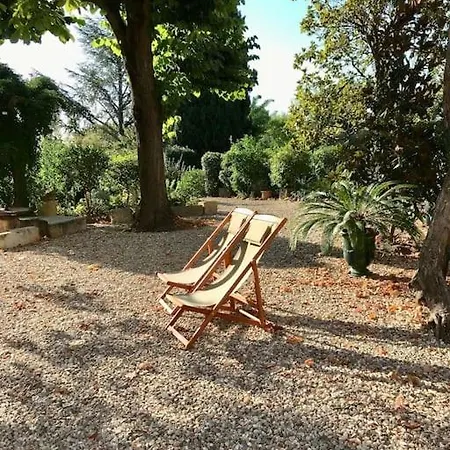 公寓 Le Figuier With Swimming Pool